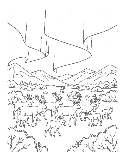 Line drawing of a reindeer herd crossing snowy tundra under the northern lights