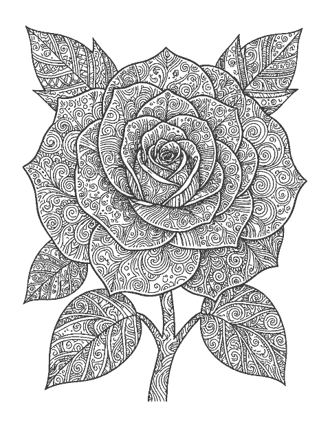 Line drawing of a large rose with each petal filled with a different doodle pattern