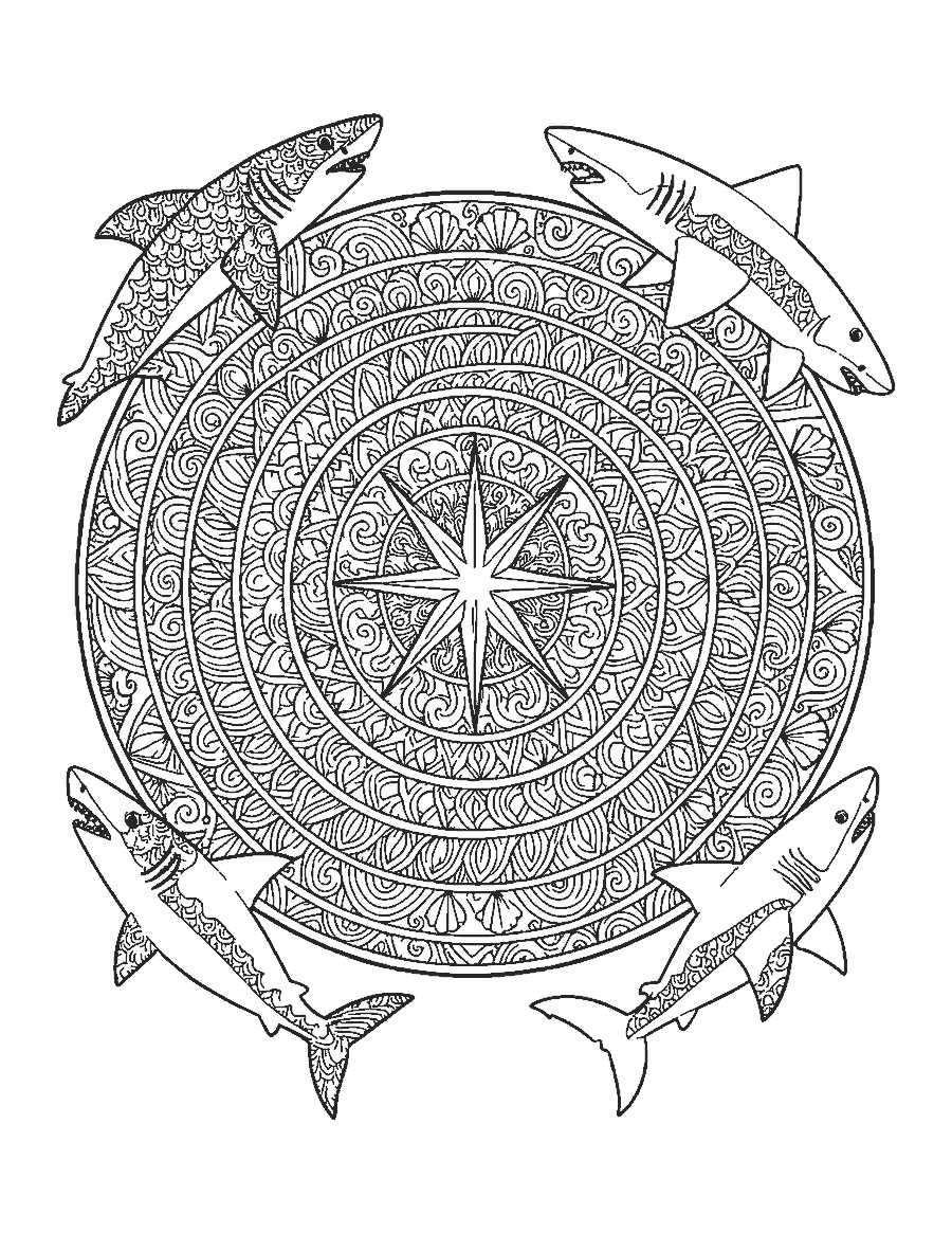 Line drawing of four sharks swimming around a round mandala of waves, shells and a starburst