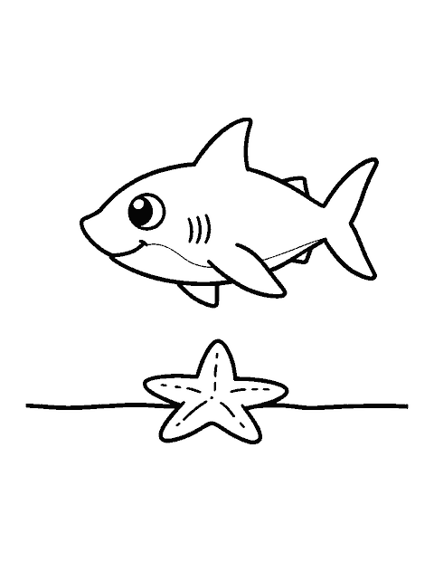 Line drawing of a small shark pup swimming above a starfish on the sand