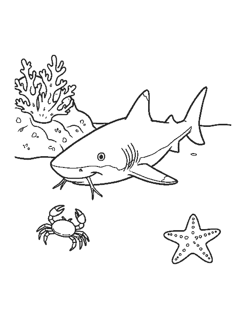 Line drawing of a nurse shark resting on sand beside a coral rock and a crab