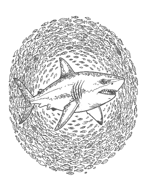Line drawing of a realistic great white shark with its mouth closed and a swirling school of fish