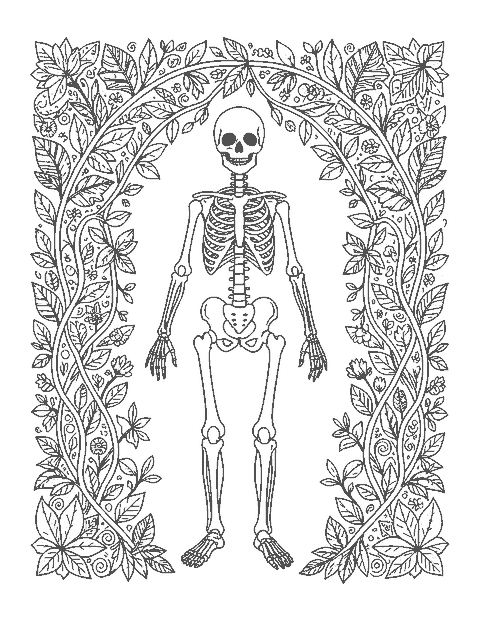 Line drawing of a detailed human skeleton framed by an arch of leaves