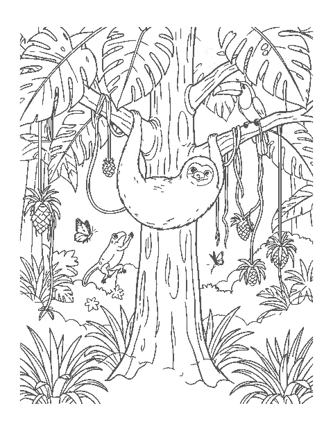 Line drawing of a sloth hanging in a rainforest tree with a toucan, tree frog and vines