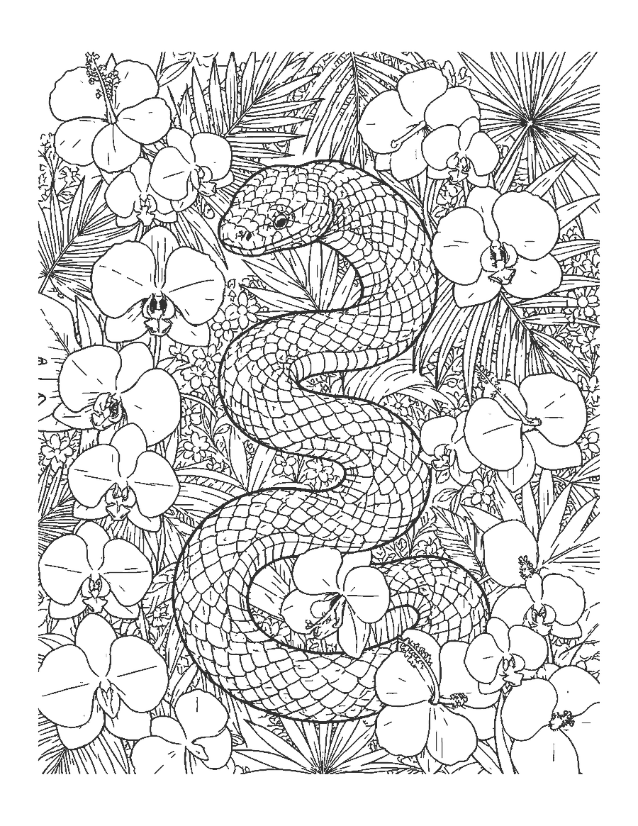 Line drawing of a snake with detailed scales winding through orchids and hibiscus flowers
