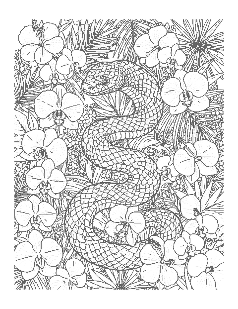 Line drawing of a snake with detailed scales winding through orchids and hibiscus flowers