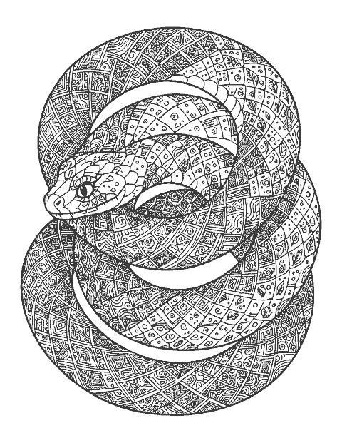 Line drawing of a snake coiled in a spiral with each band filled with doodle patterns
