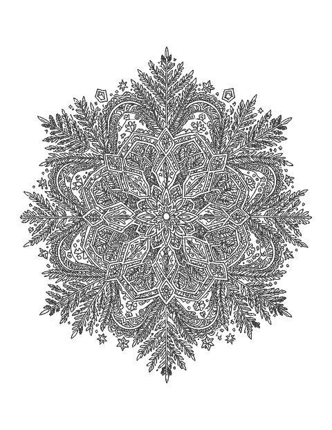 Line drawing of a detailed six-sided snowflake mandala