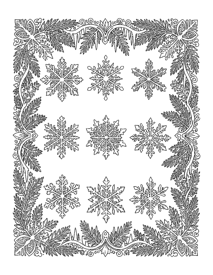 Line drawing of nine different snowflakes in a grid inside a border of frost ferns
