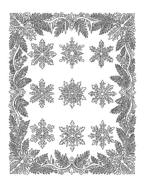 Line drawing of nine different snowflakes in a grid inside a border of frost ferns