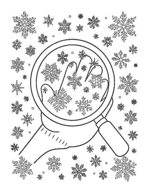 Line drawing of a magnifying glass showing different snowflake crystal shapes