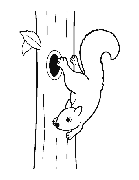 Line drawing of a squirrel climbing headfirst down a tree trunk with its tail raised