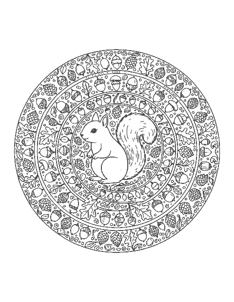 Line drawing of a squirrel inside a round mandala of acorns, pinecones and oak leaves