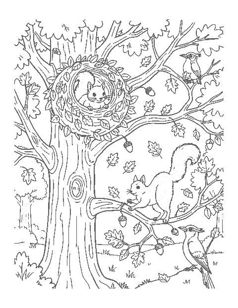 Line drawing of squirrels at a leafy nest in an oak tree with falling autumn leaves