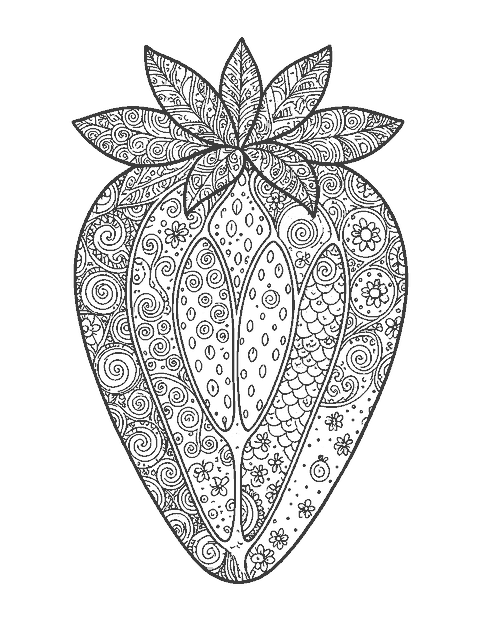 Line drawing of a giant strawberry with sections filled with swirls, dots and tiny flowers