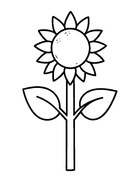 Line drawing of a tall sunflower with a big round center and two large leaves