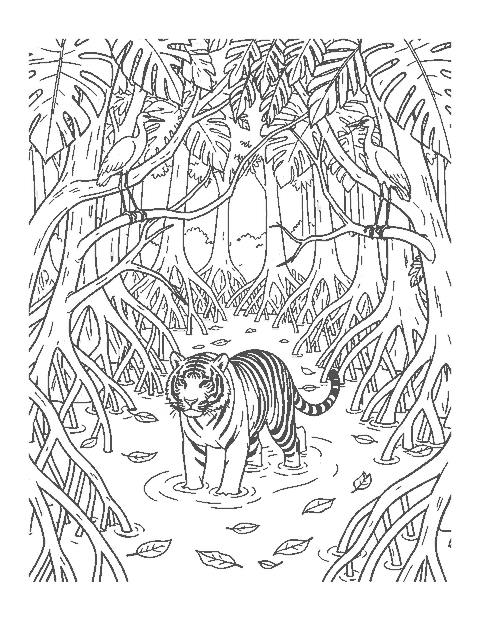 Line drawing of a tiger wading through a mangrove swamp with tangled roots and egrets