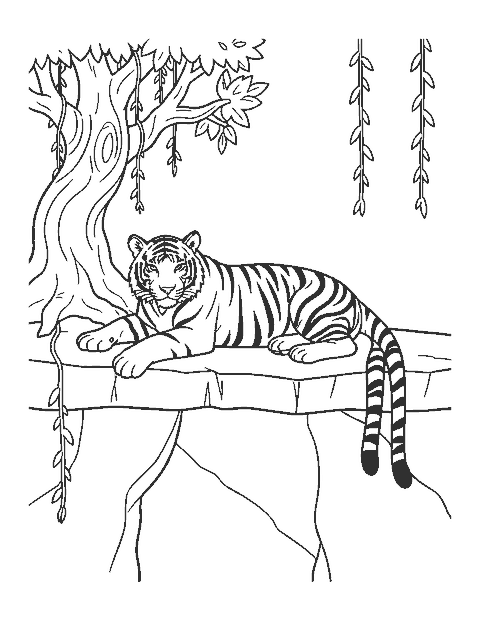 Line drawing of a tiger lounging on a rocky ledge with one paw hanging over the edge