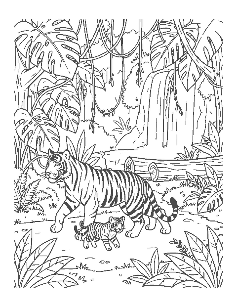 Line drawing of a tiger mother walking along a jungle trail with her striped cub trotting ahead