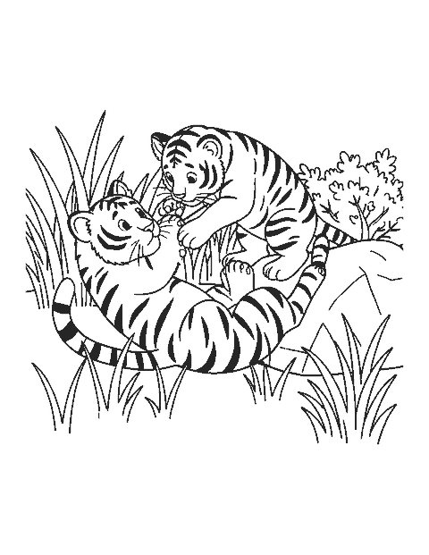 Line drawing of two tiger cubs wrestling in tall grass beside a boulder