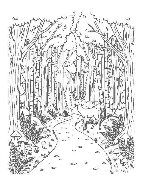 Line drawing of a forest path with oaks, birches and pines and a deer crossing