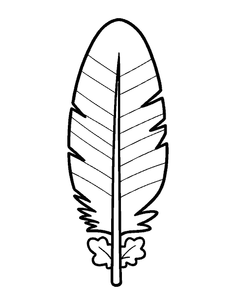 Line drawing of one large striped turkey feather with a central quill and an oak leaf