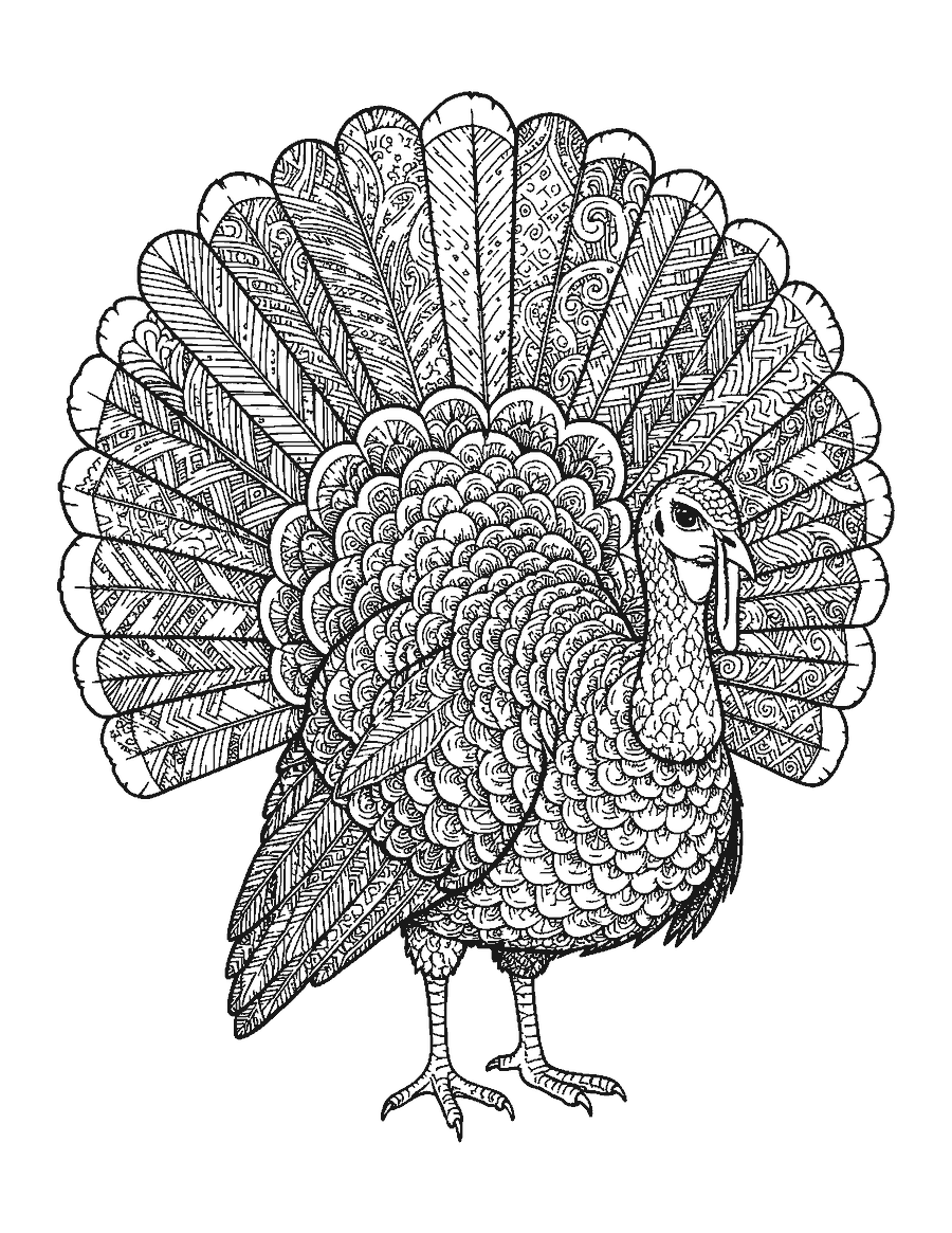 Line drawing of a turkey whose tail feathers are filled with doodle patterns