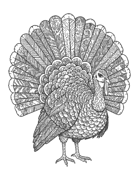 Line drawing of a turkey whose tail feathers are filled with doodle patterns