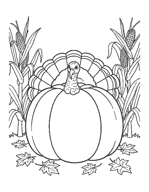 Line drawing of a turkey peeking over a giant pumpkin with corn stalks and fallen leaves