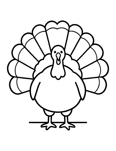 Line drawing of a plump turkey with a big fanned tail facing forward