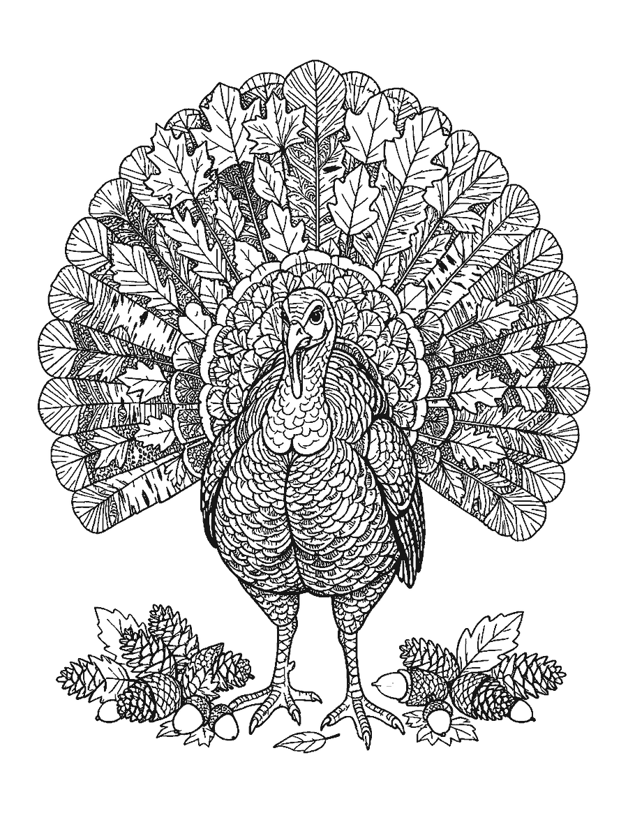 Line drawing of a turkey whose fanned tail is made of detailed maple, oak, birch and ginkgo leaves