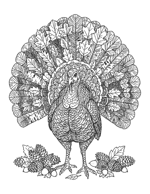 Line drawing of a turkey whose fanned tail is made of detailed maple, oak, birch and ginkgo leaves