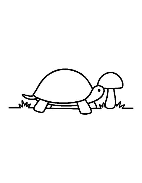 Line drawing of a box turtle with a domed shell walking beside a mushroom