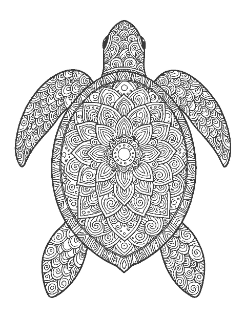 Line drawing of a sea turtle from above with a mandala-patterned shell