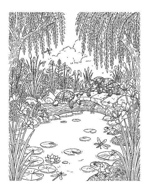 Line drawing of three turtles on a log in a detailed lily pond with a stone bridge