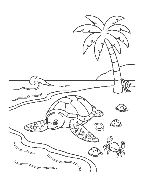 Line drawing of a green sea turtle resting on a beach with shells, a crab and a palm tree