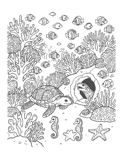 Line drawing of a busy coral reef with fish, a turtle, an eel and seahorses