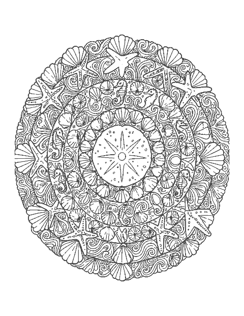 Line drawing of a round mandala made of shells, starfish, seahorses and waves