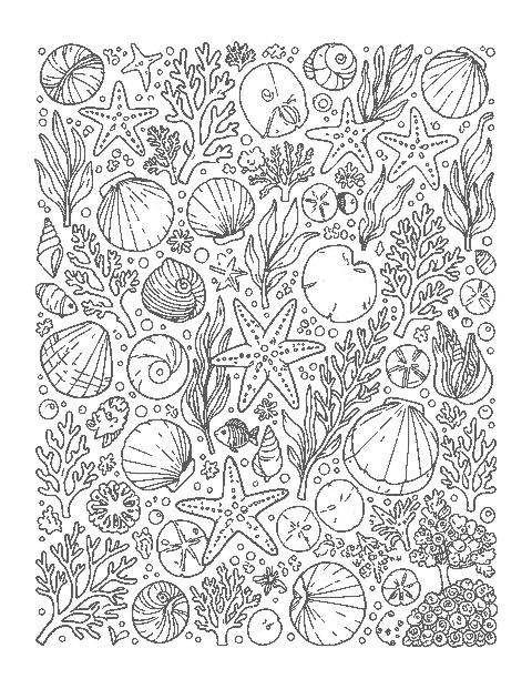 Line drawing of a doodle of seashells, starfish, sand dollars, coral sprigs, fish and bubbles