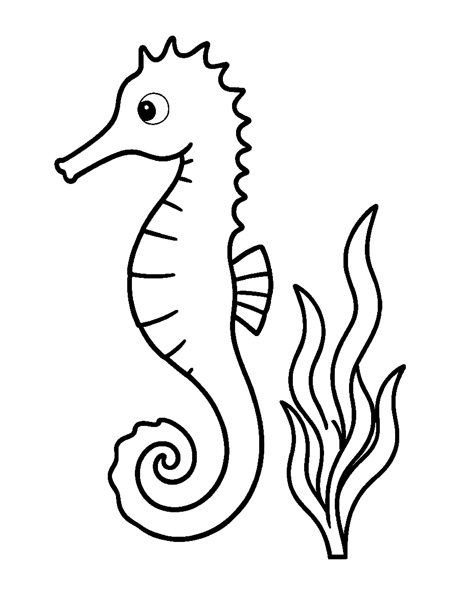 Line drawing of a seahorse with a curled tail beside a strand of seaweed
