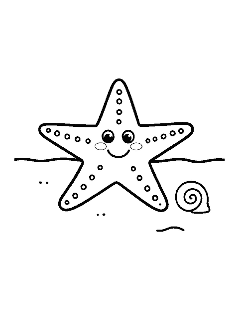 Line drawing of a smiling starfish lying on the sand next to a shell