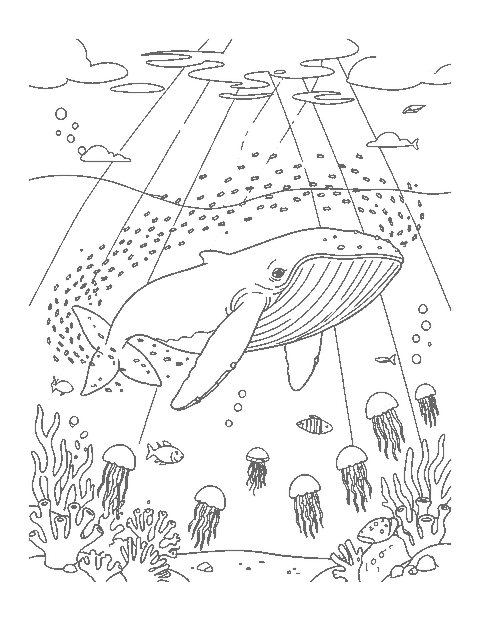 Line drawing of a giant blue whale swimming toward a swarm of krill