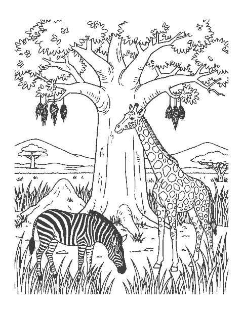 Line drawing of a zebra grazing under a baobab tree while a giraffe eats its leaves