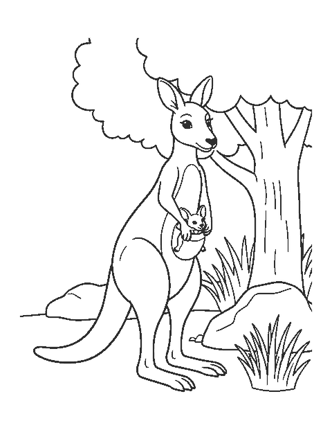 Line drawing of a kangaroo standing with a baby joey peeking out of her pouch