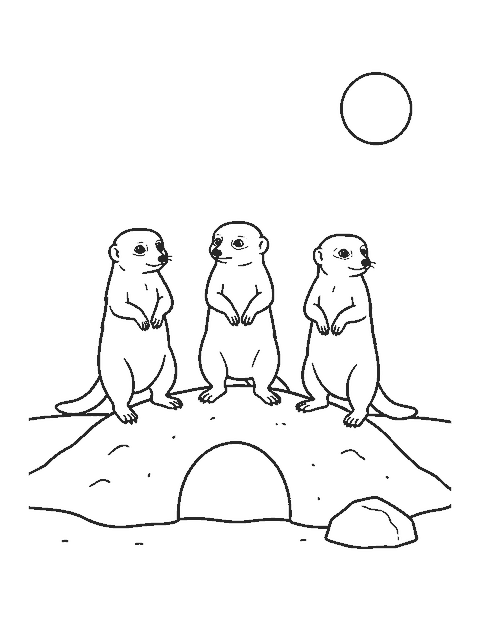 Line drawing of three meerkats standing upright on a sandy mound beside a burrow