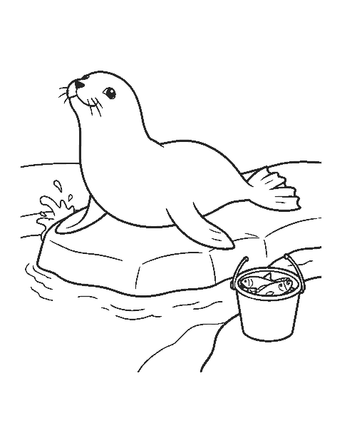 Line drawing of a sea lion resting on a rock beside a pool with a bucket of fish